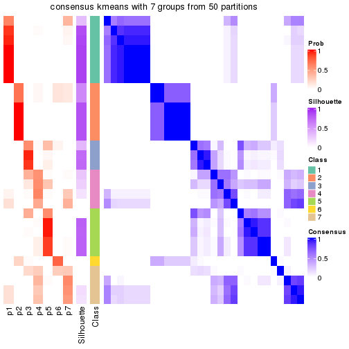 plot of chunk tab-node-042-consensus-heatmap-6