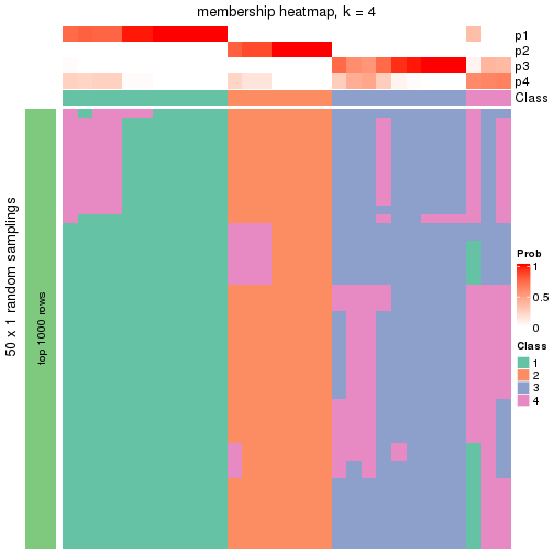 plot of chunk tab-node-042-membership-heatmap-3