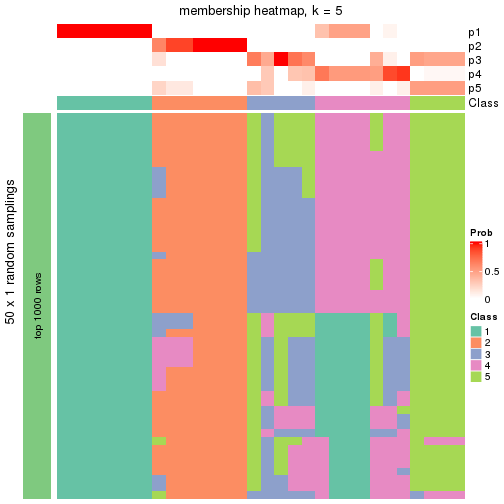 plot of chunk tab-node-042-membership-heatmap-4