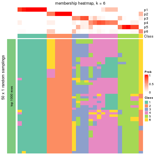 plot of chunk tab-node-042-membership-heatmap-5