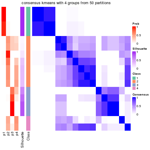 plot of chunk tab-node-043-consensus-heatmap-3