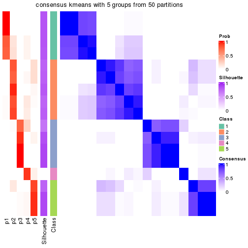 plot of chunk tab-node-043-consensus-heatmap-4