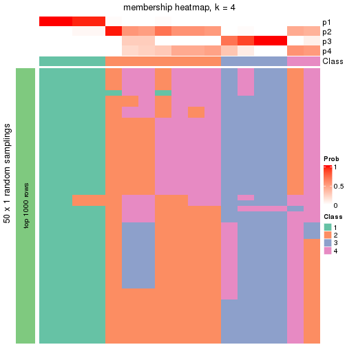 plot of chunk tab-node-043-membership-heatmap-3