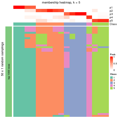 plot of chunk tab-node-043-membership-heatmap-4