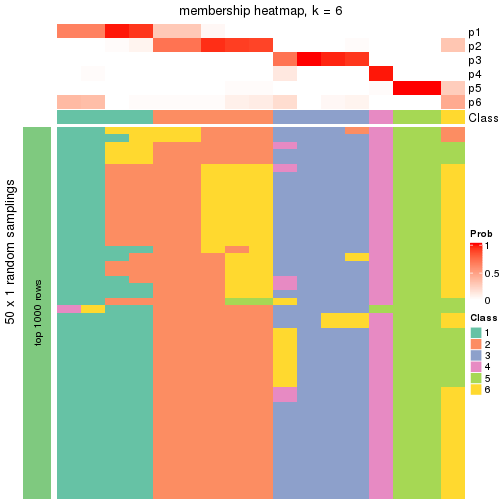 plot of chunk tab-node-043-membership-heatmap-5