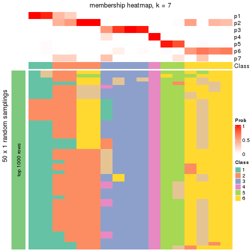 plot of chunk tab-node-043-membership-heatmap-6