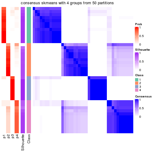 plot of chunk tab-node-044-consensus-heatmap-3