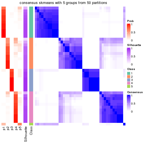 plot of chunk tab-node-044-consensus-heatmap-4