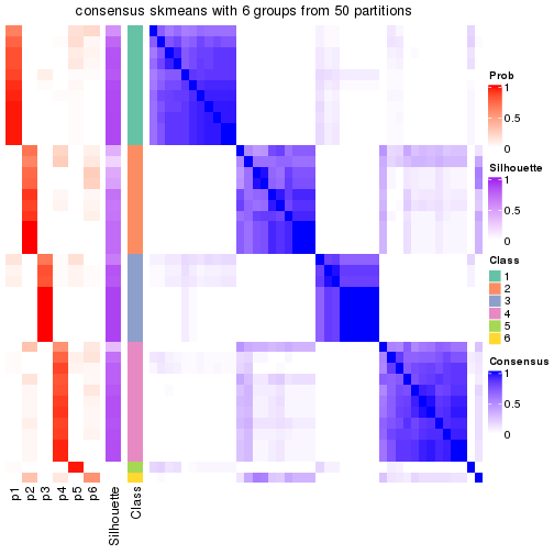 plot of chunk tab-node-044-consensus-heatmap-5