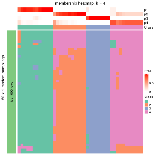 plot of chunk tab-node-044-membership-heatmap-3