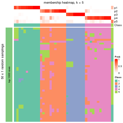 plot of chunk tab-node-044-membership-heatmap-4