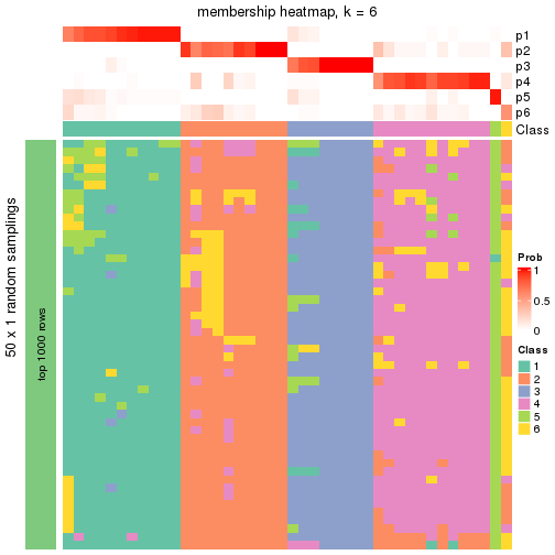 plot of chunk tab-node-044-membership-heatmap-5