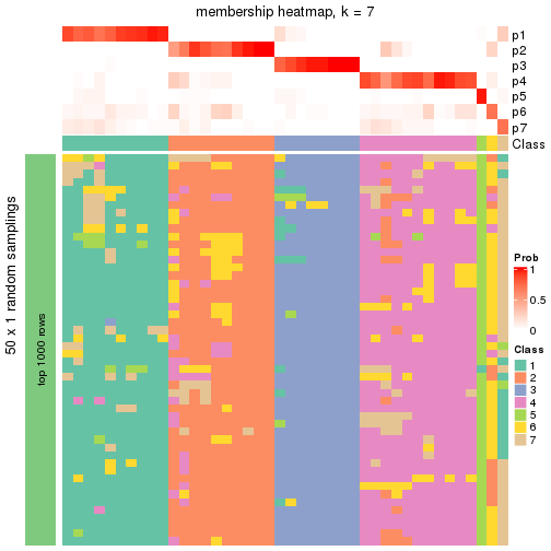 plot of chunk tab-node-044-membership-heatmap-6