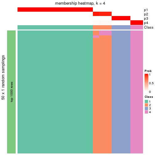 plot of chunk tab-node-0442-membership-heatmap-3