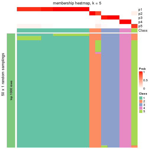 plot of chunk tab-node-0442-membership-heatmap-4