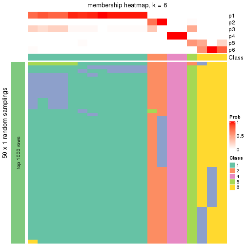 plot of chunk tab-node-0442-membership-heatmap-5