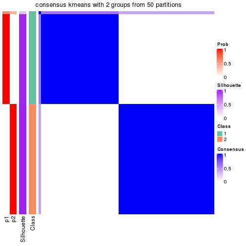 plot of chunk tab-node-05-consensus-heatmap-1