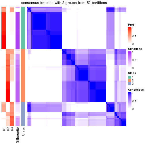 plot of chunk tab-node-05-consensus-heatmap-2