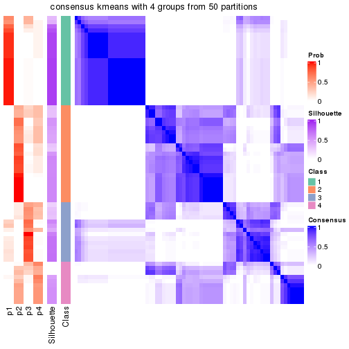 plot of chunk tab-node-05-consensus-heatmap-3