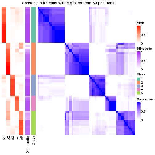 plot of chunk tab-node-05-consensus-heatmap-4