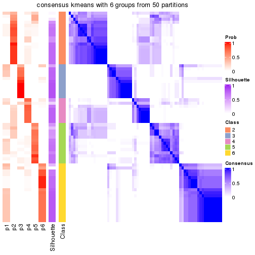 plot of chunk tab-node-05-consensus-heatmap-5