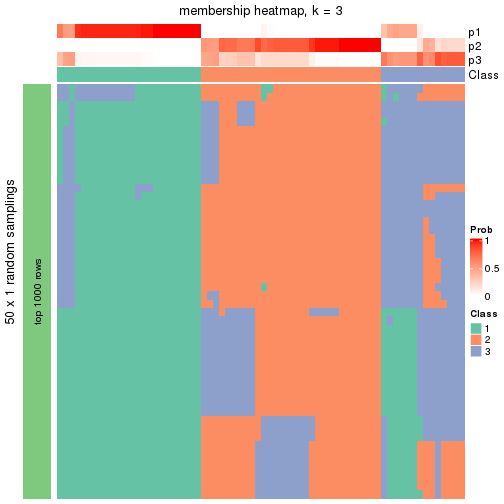 plot of chunk tab-node-05-membership-heatmap-2