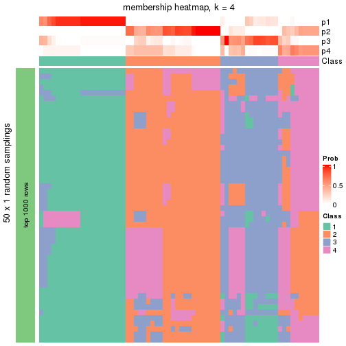 plot of chunk tab-node-05-membership-heatmap-3