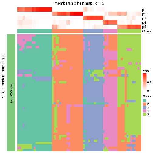 plot of chunk tab-node-05-membership-heatmap-4