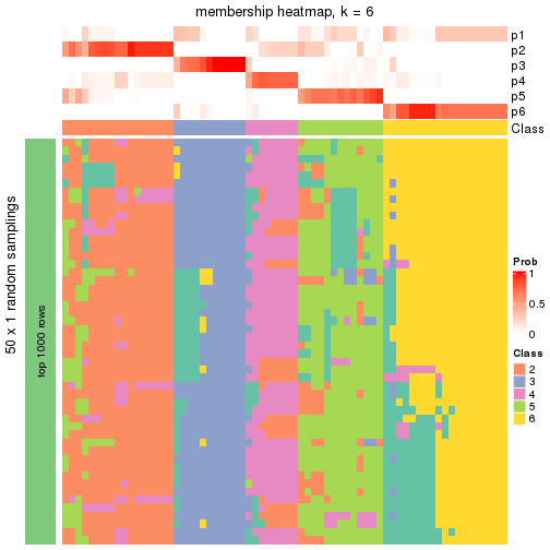 plot of chunk tab-node-05-membership-heatmap-5