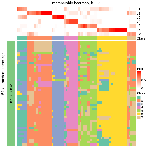 plot of chunk tab-node-05-membership-heatmap-6