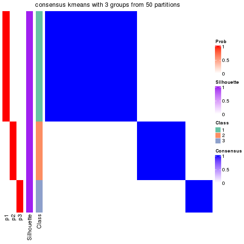 plot of chunk tab-node-051-consensus-heatmap-2