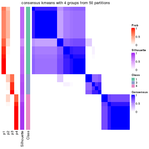 plot of chunk tab-node-051-consensus-heatmap-3