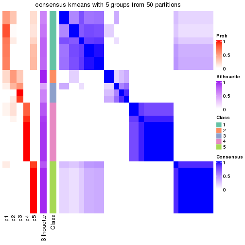 plot of chunk tab-node-051-consensus-heatmap-4