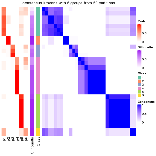 plot of chunk tab-node-051-consensus-heatmap-5