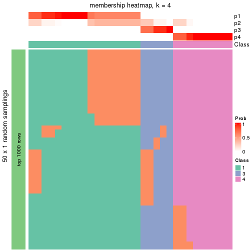 plot of chunk tab-node-051-membership-heatmap-3