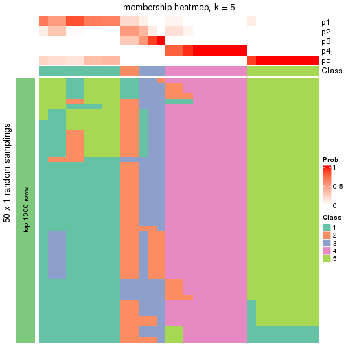 plot of chunk tab-node-051-membership-heatmap-4