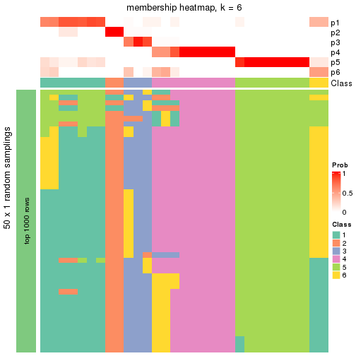 plot of chunk tab-node-051-membership-heatmap-5