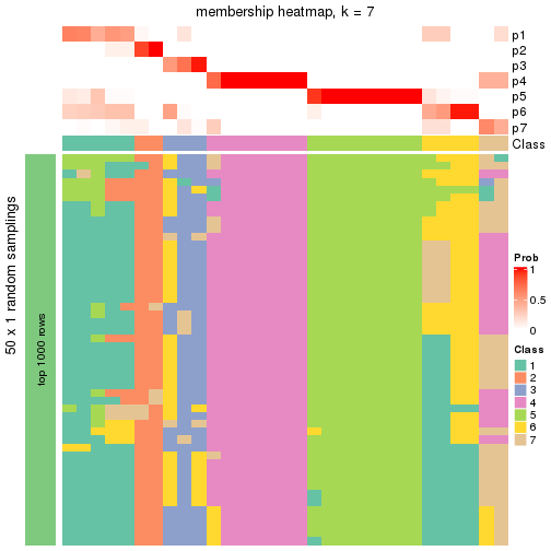 plot of chunk tab-node-051-membership-heatmap-6