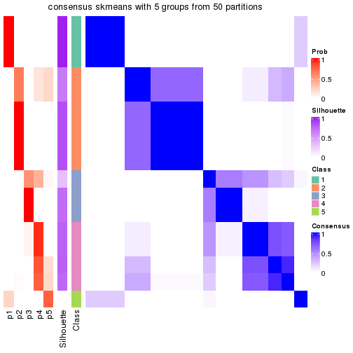 plot of chunk tab-node-0511-consensus-heatmap-4