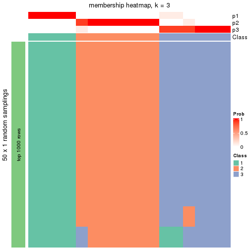 plot of chunk tab-node-0511-membership-heatmap-2