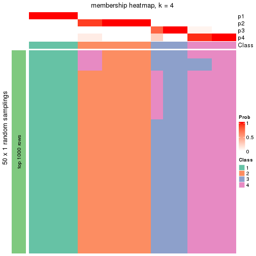 plot of chunk tab-node-0511-membership-heatmap-3