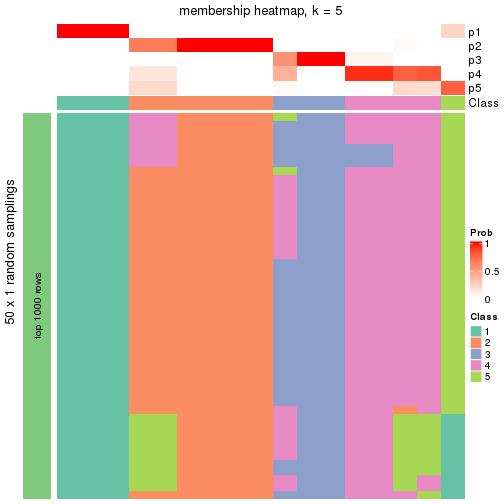 plot of chunk tab-node-0511-membership-heatmap-4