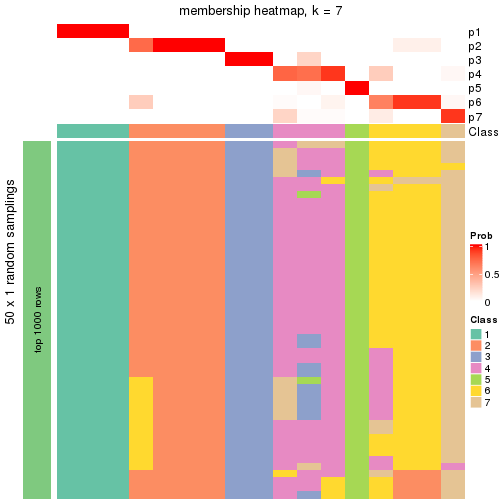 plot of chunk tab-node-0511-membership-heatmap-6