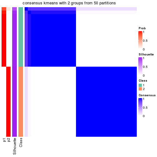 plot of chunk tab-node-052-consensus-heatmap-1