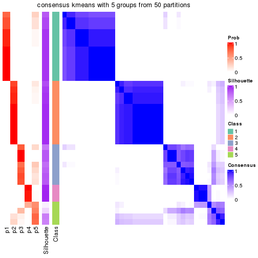 plot of chunk tab-node-052-consensus-heatmap-4