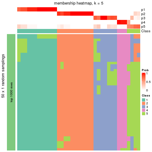 plot of chunk tab-node-052-membership-heatmap-4