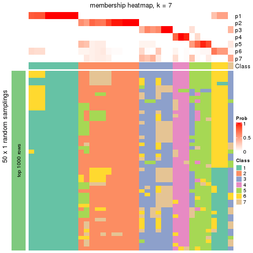 plot of chunk tab-node-052-membership-heatmap-6