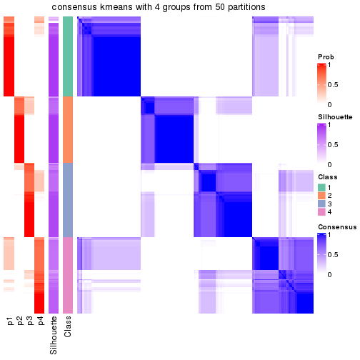 plot of chunk tab-node-0-consensus-heatmap-3