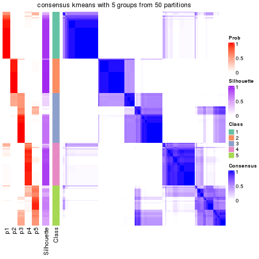 plot of chunk tab-node-0-consensus-heatmap-4