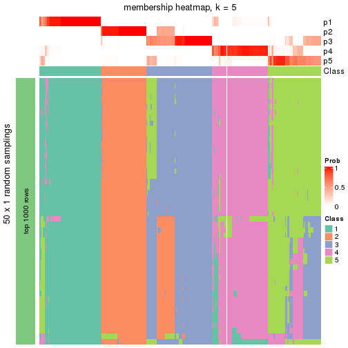 plot of chunk tab-node-0-membership-heatmap-4